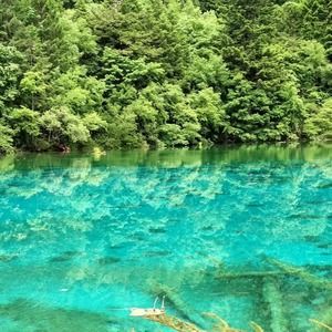 Meet your Posher, Xian